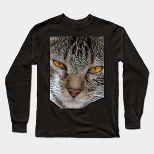 cat Long Sleeve T-Shirt